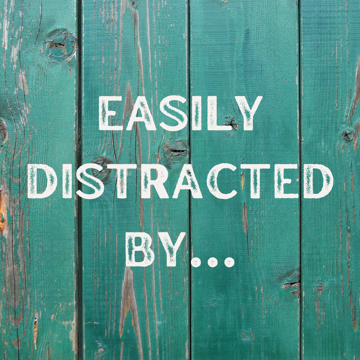 Easily Distracted by...