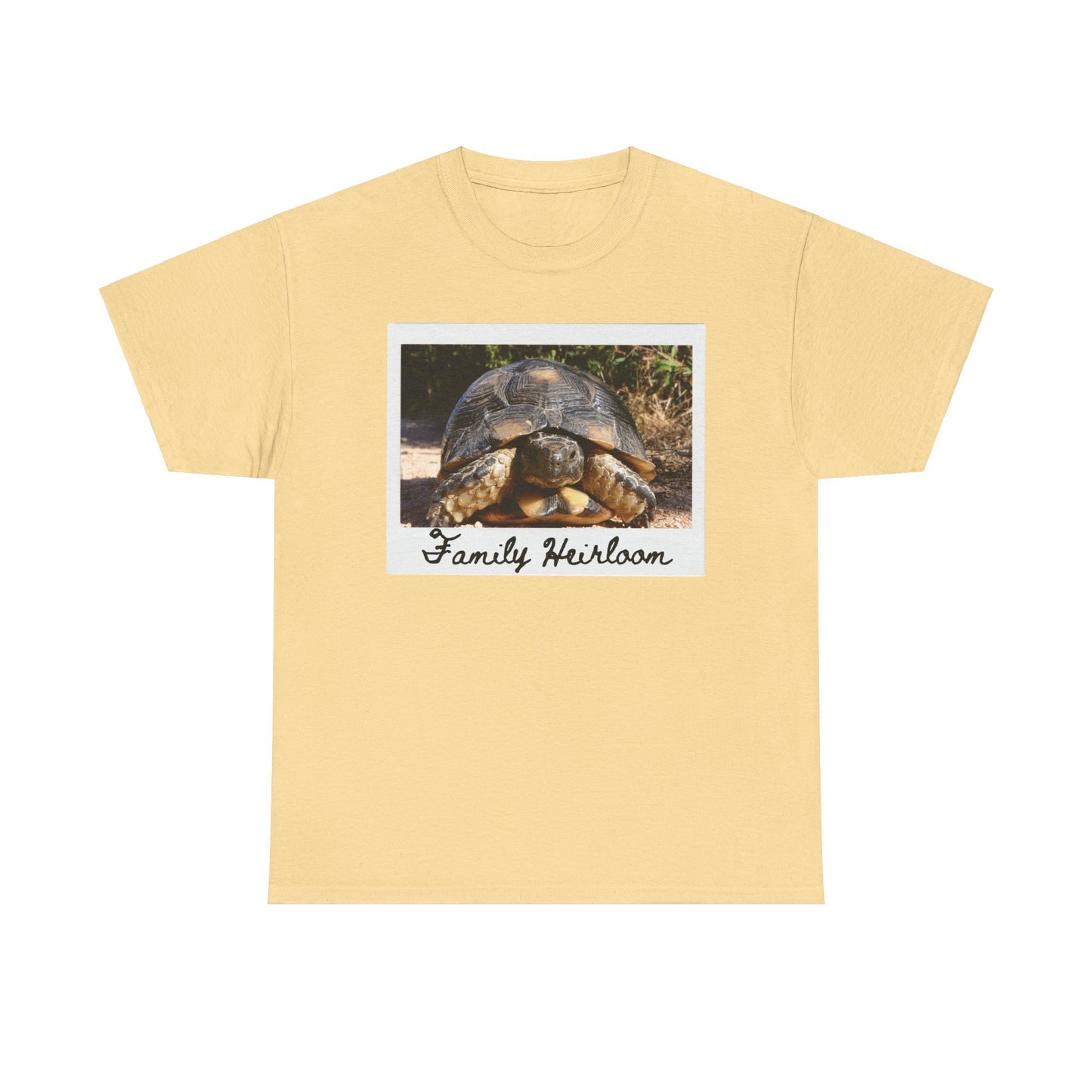 Family Heirloom Shirt, Tortoise Shirt, Longevity Shirt, Live Forever Shirt, Inheritance Shirt