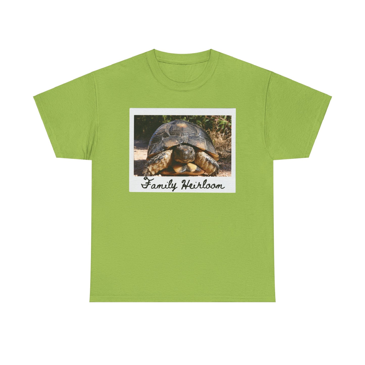 Family Heirloom Shirt, Tortoise Shirt, Longevity Shirt, Live Forever Shirt, Inheritance Shirt