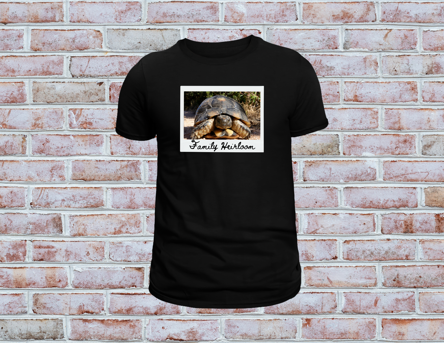 Family Heirloom Shirt, Tortoise Shirt, Longevity Shirt, Live Forever Shirt, Inheritance Shirt